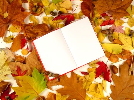 Open book surround by leafs and nuts