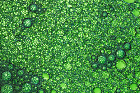 Macro Photo of Green Textured Foam Surface with Air Bubbles. Top View of Froth Structure. Abstract...
