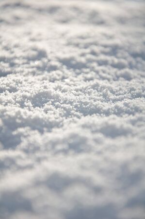close-up of fresh snow on the groundの写真素材