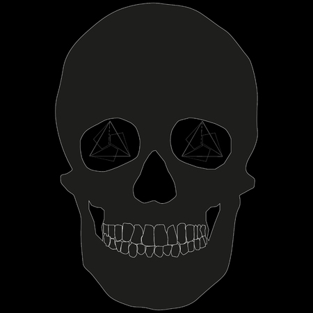 Human remains skeleton of the skull bonesのイラスト素材
