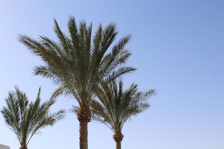 River Nile at sunset in Aswan, Egyptの写真素材
