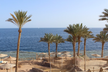 Palms and bungalow in hotel in Hurghada, Egypt