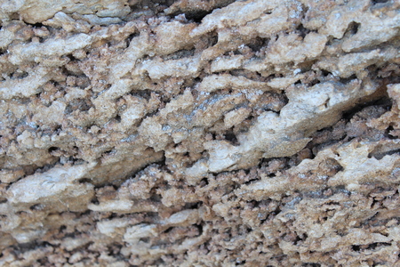 The soil of Egypt, the soil in the country of the sunの写真素材