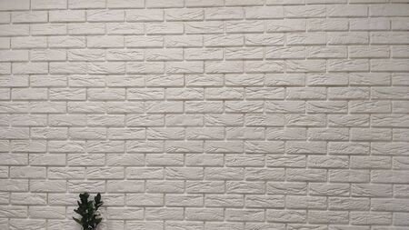 brick wall painted white pattern for beautiful background.