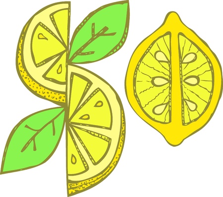 Hand drawn lemon. illustrationのイラスト素材