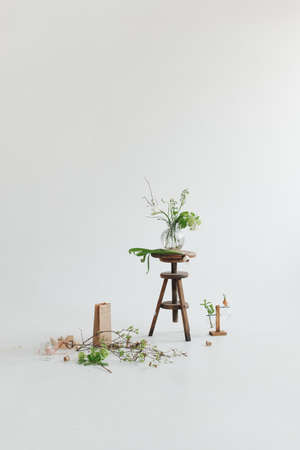 Greenery, vegetation and natural decor on a white background. Vertically natural decor. Vegetation on a light background.の写真素材