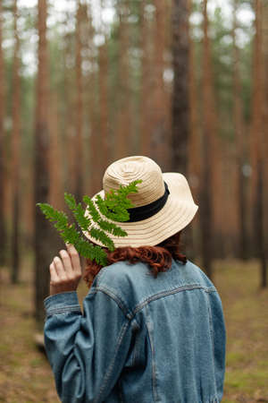 Beautiful girl in a pine forest. A girl holds a fern. A girl in a hat walks through the woods....