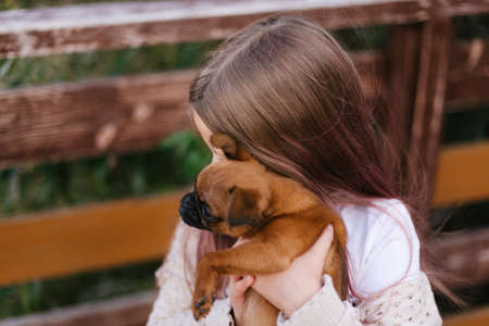 girl holding a small dog in her arms. Pets. Brownの写真素材
