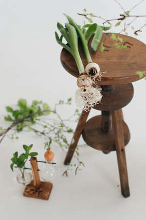 fresh flowers on a wooden table. White background. Green natural plantsの写真素材