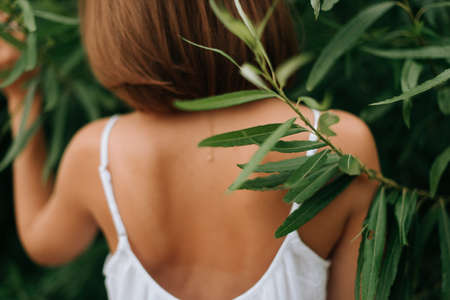 back of a girl and green leaves beautiful female back summer nature Summerの写真素材