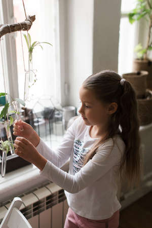 enthusiastic cute little girl in a white t-shirt with braids holding a test tube in her handsの写真素材
