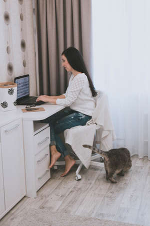 young brunette girl in blue jeans white sweater and bare feet works at the computer at homeの写真素材