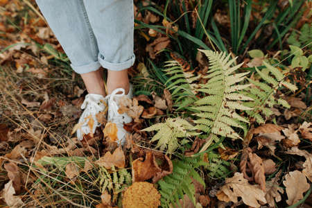 autumn leaves and female legs in white sneakers and blue jeans autumn landscape