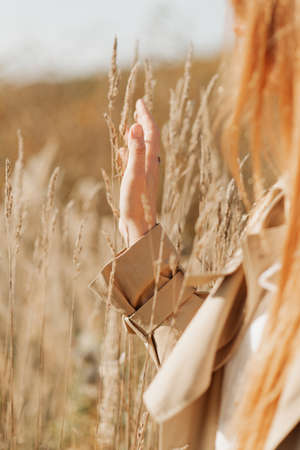 autumn landscape female hand on the background of the sunbeam and autumn plantsの写真素材