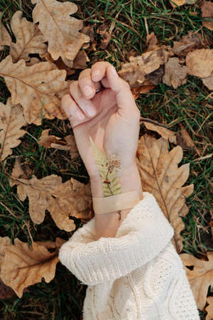 dirty autumn leaves close-up and female hand with plaster autumn landscapeの写真素材