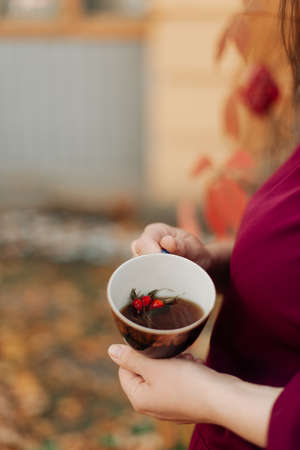 a girl in a purple dress holds a beautiful mug of tea in her hands and I have been for yearsの写真素材
