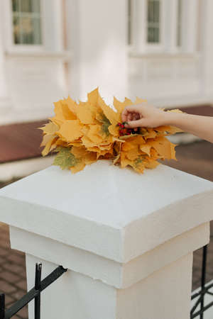 yellow autumn leaves lie on a white columnの写真素材