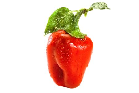 Small red pepper with dewdrop on white background