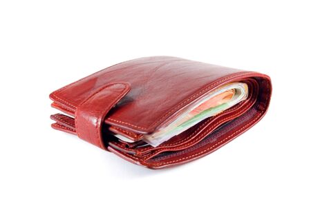 full brown purse on white