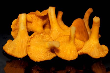 Fresh mushrooms on black plateの写真素材