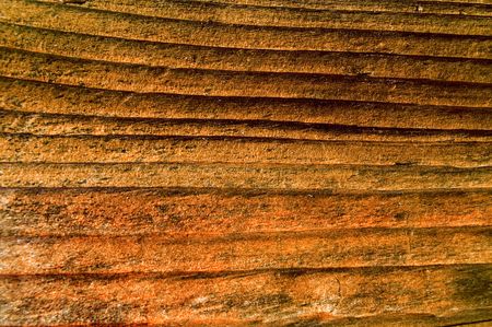 old rusty wood background of oak
