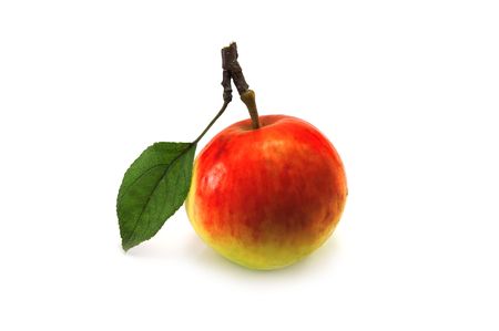 single red apple isolated on whiteの写真素材