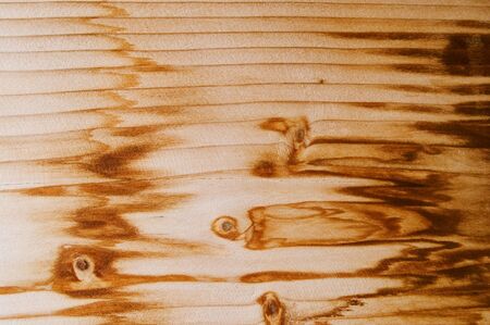 pine wood texture close upの写真素材