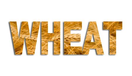 inscription "wheat" isolated on whiteの写真素材