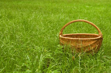 yellow basket in green grassの写真素材