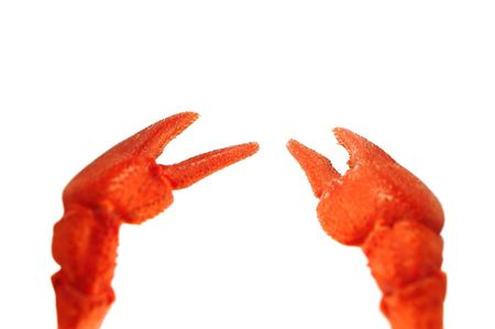 two claw isolated on white