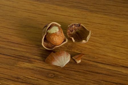 forest nut on wood table