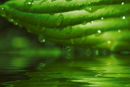 green background with grass and water drop