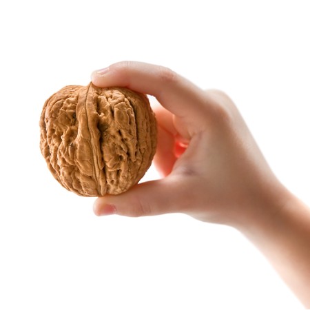 walnut in child hand isolated on whiteの写真素材