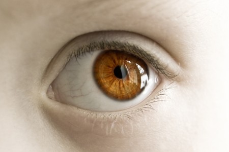brown child eye close upの写真素材