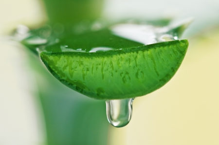  aloe juice drop close upの写真素材