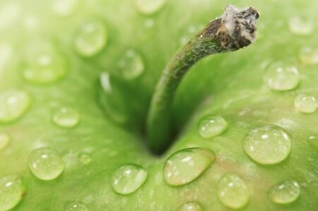 green apple with water dropの写真素材
