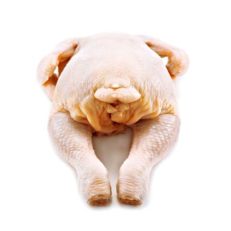 chicken isolated on white backgroundの写真素材