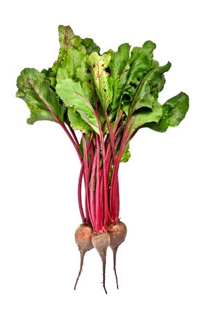 beet isolated on white backgroundの写真素材