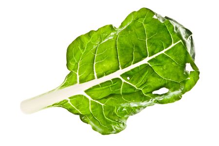 bok choy leaf  isolated on whiteの写真素材