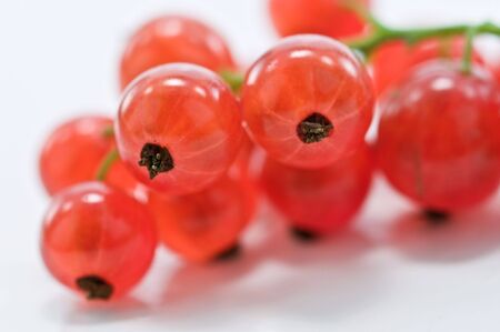 twig of red currant closeup の写真素材