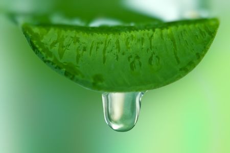 aloe juice drop close up の写真素材