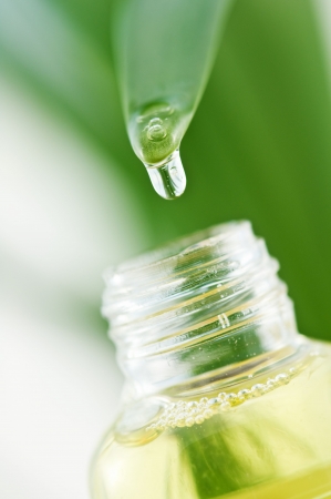 drop from leaf to bottleの写真素材