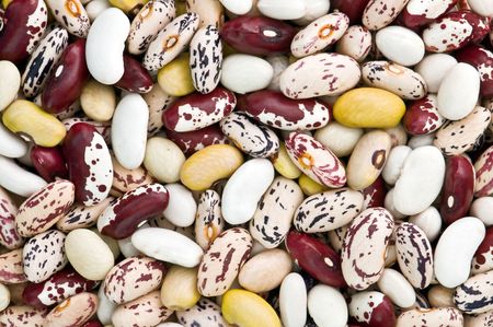 varicoloured kidney bean close up