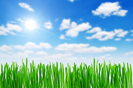 green grass and blue skyの写真素材