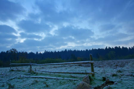 morning forest and cloudy skyの写真素材