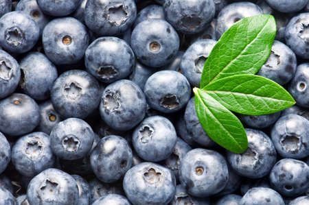 ripe freshness blueberry close upの写真素材