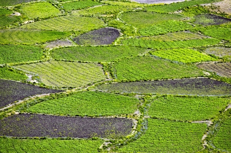 green field, view from aboveの写真素材