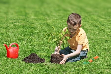 boy with tree on lawnの写真素材