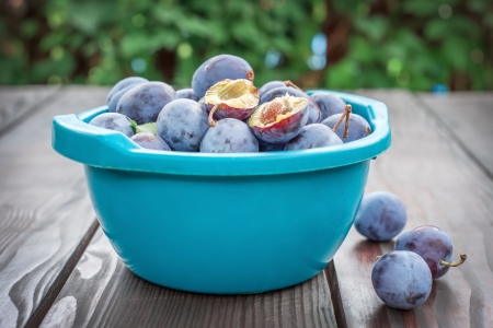 plums in bowl in gardenの写真素材