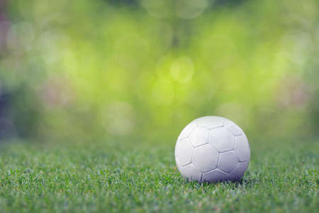 white soccer ball on green grassの写真素材